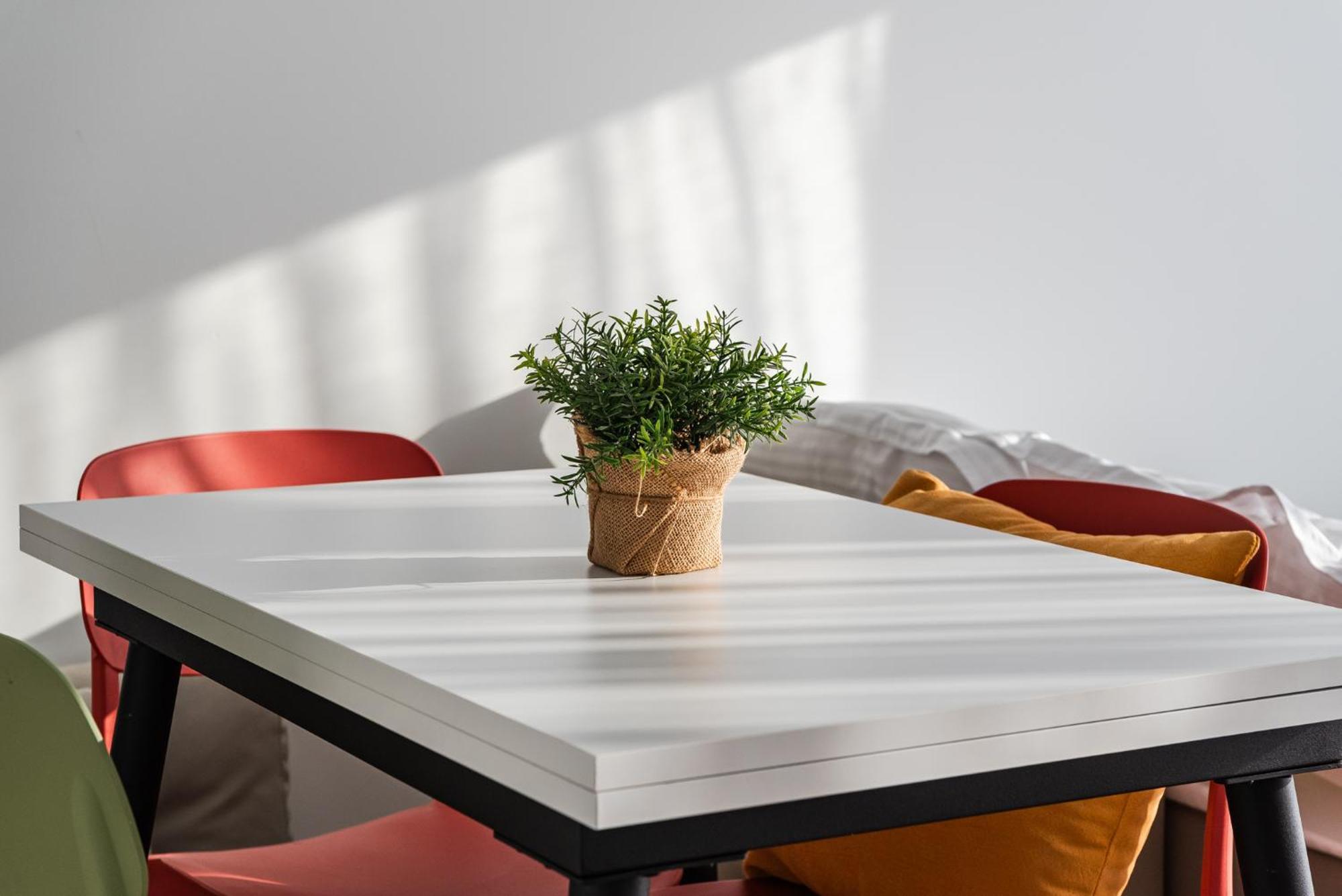 8th Floor Apartments, Apartamento