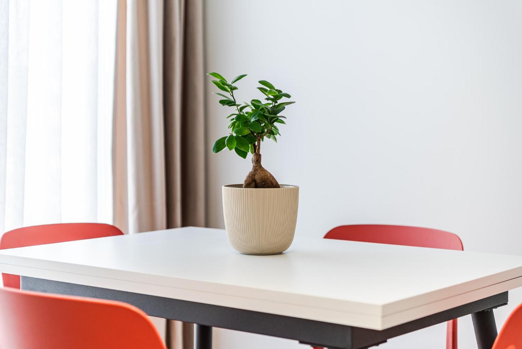 8th Floor Apartments, Golem (Tirana)